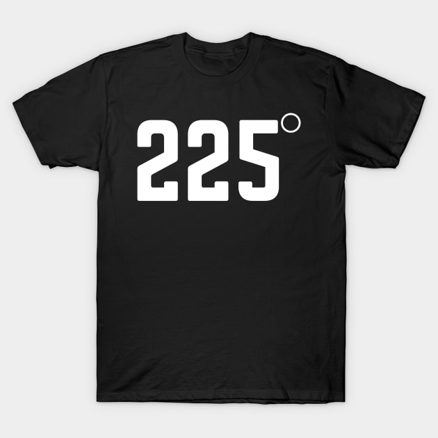 225 Degrees BBQ Grilling Smoking Meat T-Shirt by MalibuSun